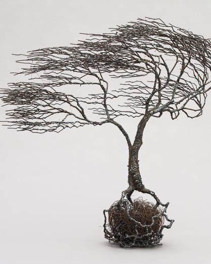 Mirsad_Baum